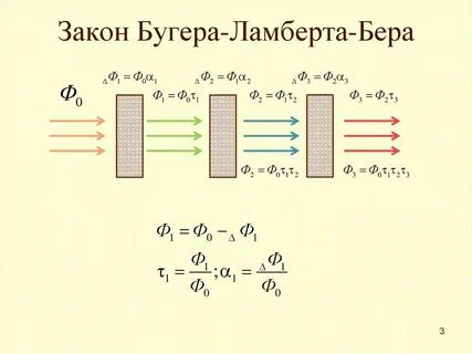 Квадроберы это кто простыми словами кратко