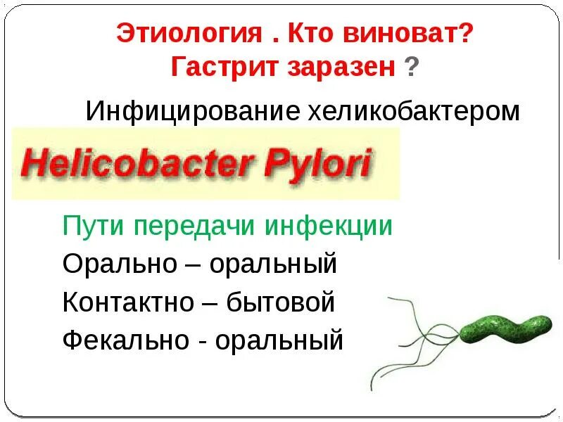 Пути передачи хеликобактер пилори. Helicobacter pylori пути передачи. Хеликобактерная инфекция пути передачи. Пути инфицирования хеликобактер пилори. Как можно заразиться хеликобактер