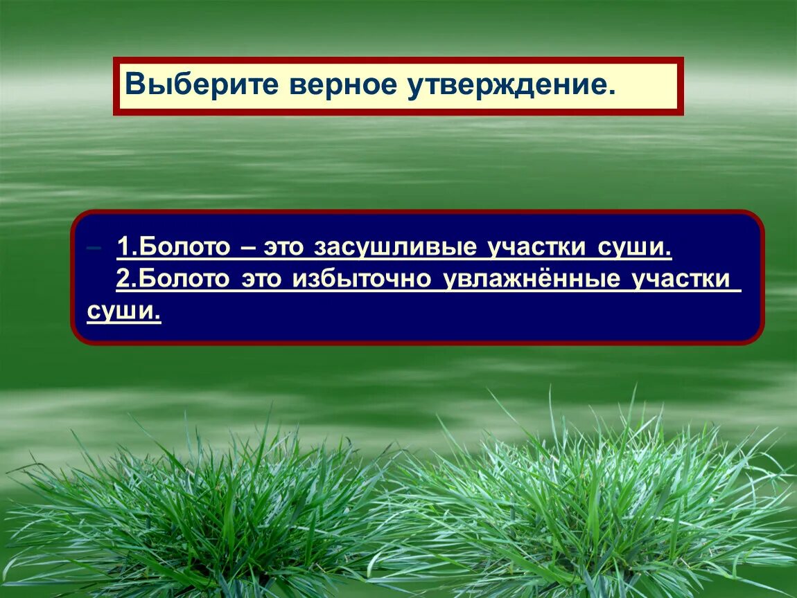 Выберите верное утверждение о минеральном питании растений. Выберите верное утверждение. Выберете верное утверждение. Верное утверждение болота. Первыми живыми организмами на земле были.