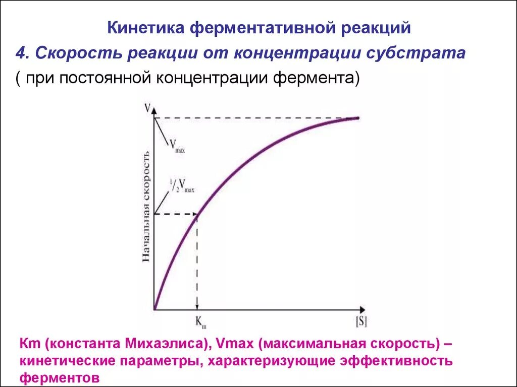 Зависимость ферментов от концентрации субстрата. График зависимости скорости реакции от концентрации фермента. Кинетика ферментативных реакций график. Начальная скорость ферментативной реакции биохимия. Зависимость скорости реакции от температуры биохимия.