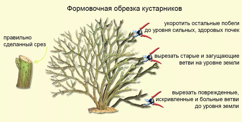 Формирование среза