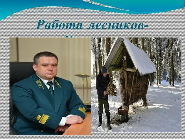 Историю про лесника