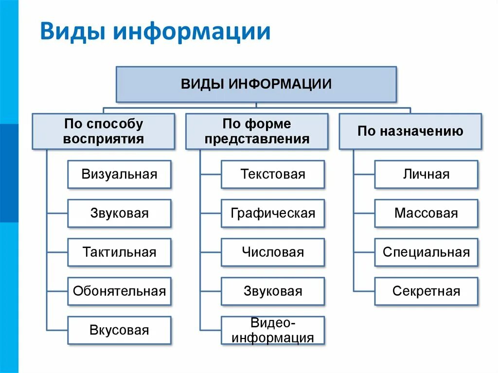 На какие виды подразделяются. Виды информации по способу восприятия и по способу представления. Информация виды и свойства информации Информатика. Виды информации в информатике 10 класс. Какие есть виды информации.