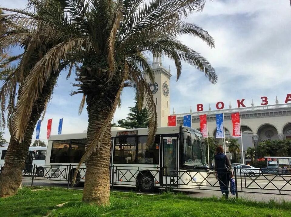 автобусы из аэропорта адлер. автобусы сочи и маршрутки. автобус до сочи. общественный транспорт сочи. автобусы кинг лонг анапа.