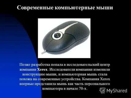 Что понимается под термином мышь