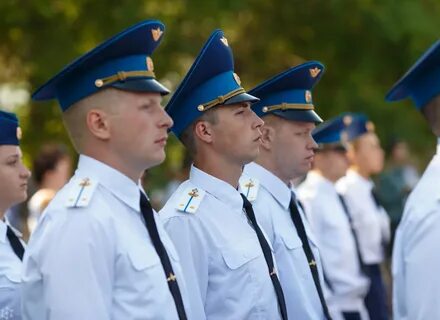 Вви в вузе это