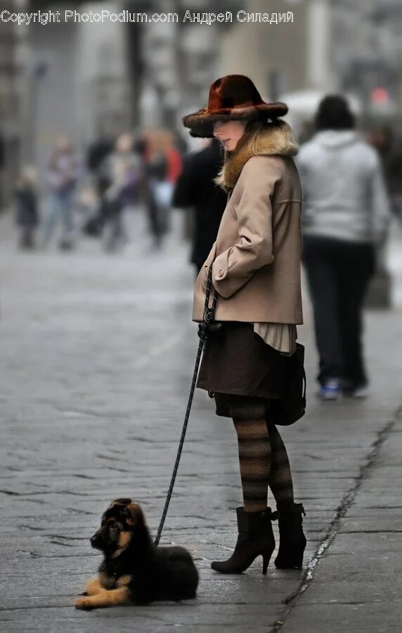 Женщина гуляла с собакой белгород. Девушка с собачкой. Прогулка с собакой. Дама с собачкой на поводке. Девушка в городе с собачкой.