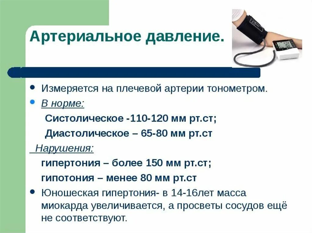 Давление биология 8 класс. Артериальное давление 8 класс. Артериальное давление презентация. Артериальное давление биология 8 класс. Артериальное давление на плечевых артериях в норме.