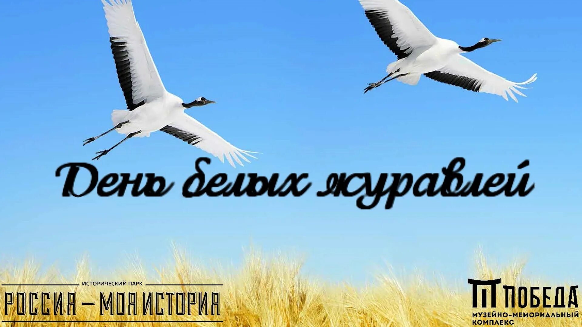 22 октября картинки. Праздник белых журавлей картинки. Картинки праздник белых журавлей 22 октября. Акция белые Журавли. Праздник белых журавлей оформление.