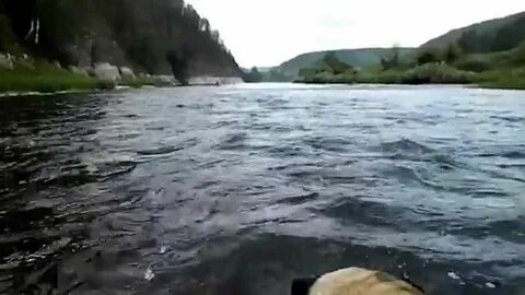 Река белая бирск сегодня