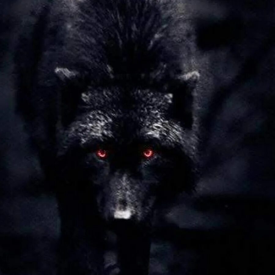 The terminal list dark wolf