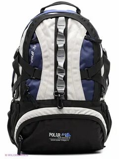 Polar 4