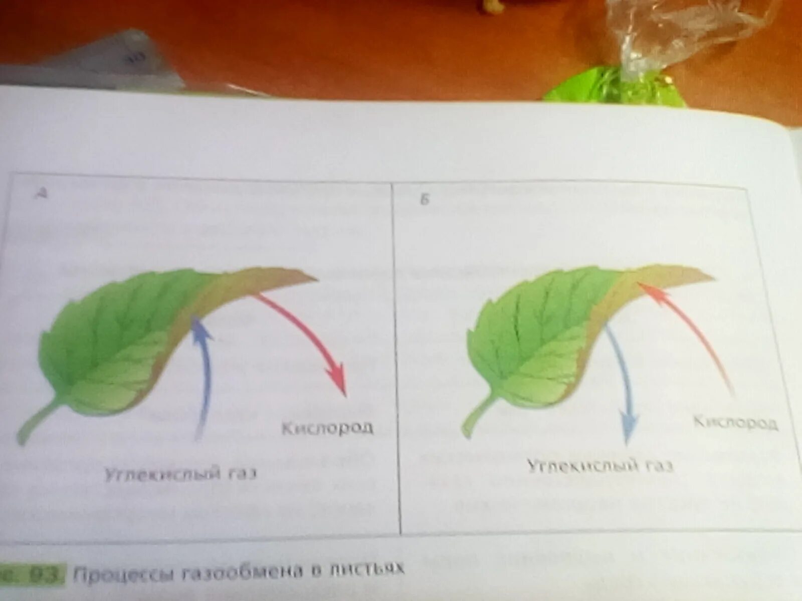 Укажите процесс указанный на рисунке. Определите какой процесс показан на рисунке. Внимательно рассмотри рисунок определи. Рассмотрите рисунок какой. Внимательно рассмотрите рисунок 93.