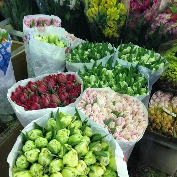 Рижский рынок цены на цветы 2024. Рижский цветочный рынок. Рижский рынок цветы. Розы Рижский рынок. Букеты на Рижском цветочном рынке.