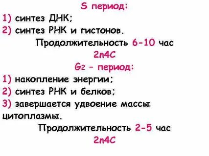 Period s