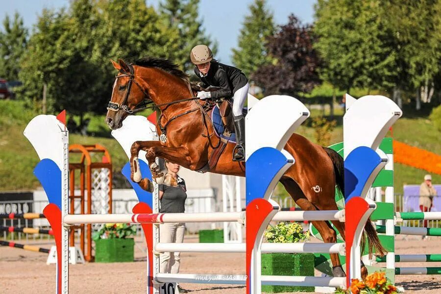 Федерация конного спорта Приморского края. Конный спорт Приморский край. Приморский край конный клуб. Старты конный спорт.