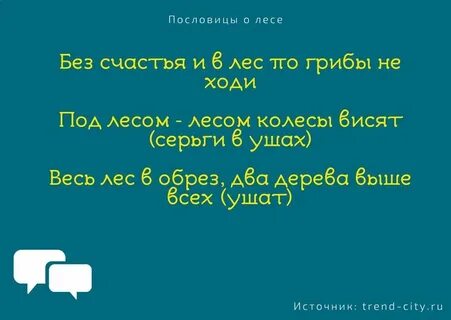 Писать о лесах любимое мое
