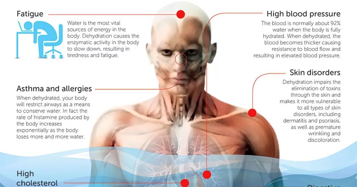 Очищение. Мув девушки. Sevek move your body. Stress may cause. Your body slow.