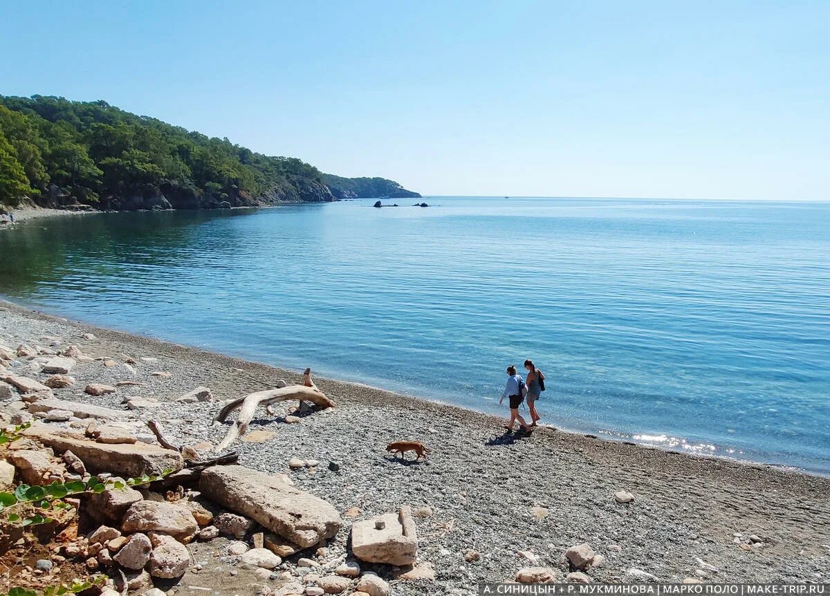 Куда можно поехать отдыхать на море недорого. Съездить на море недорого. Дешевый отдых. Дешевые курорты России. Моря России для отдыха летом.