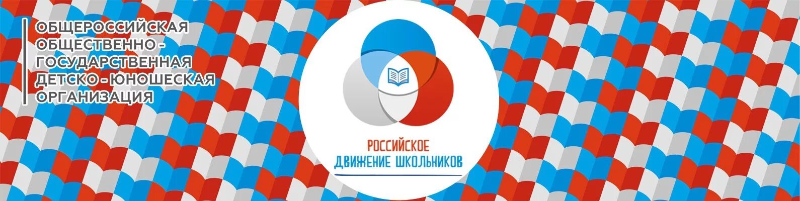 Российское движение школьников. РДШ логотип. Баннер РДШ. Всероссийское движение школьников логотип. Общероссийская детско юношеская организация