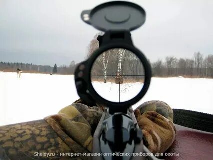 Оптика псп