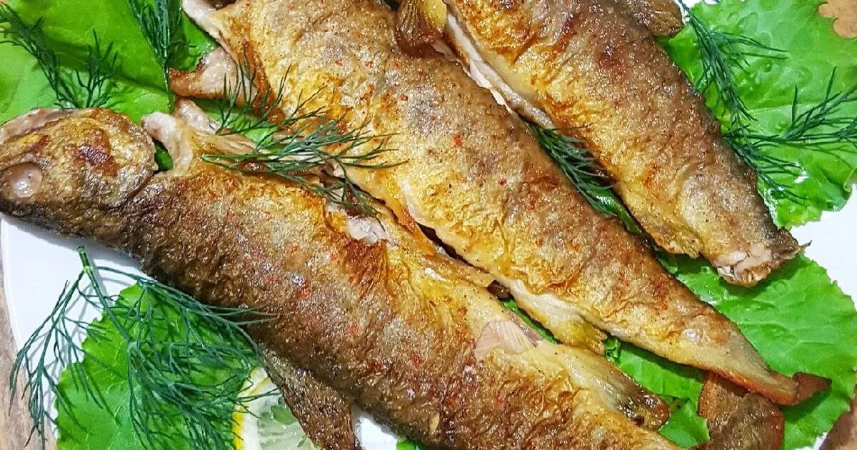 терпуг какая рыба. терпуг какая рыба. терпуг рыба терпуг. терпуг какая рыба. терпуг дальневосточный.