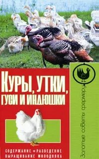 Фермер продает куриные и утиные