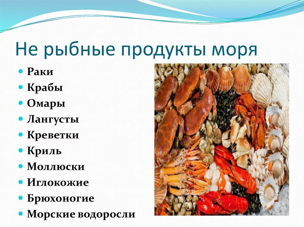 Рыбные и нерыбные продукты. Блюда из рыбы и нерыбных продуктов моря. Морепродукты названия. Перечислите нерыбные продукты. К какой группе организмов относится устрица