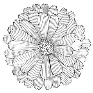 Flowers Coloring Paper