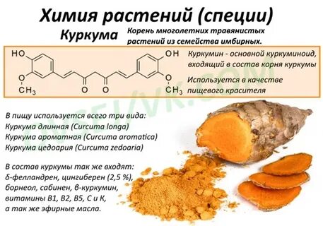 Свойства куркумы для организма