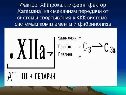 Фактор 12