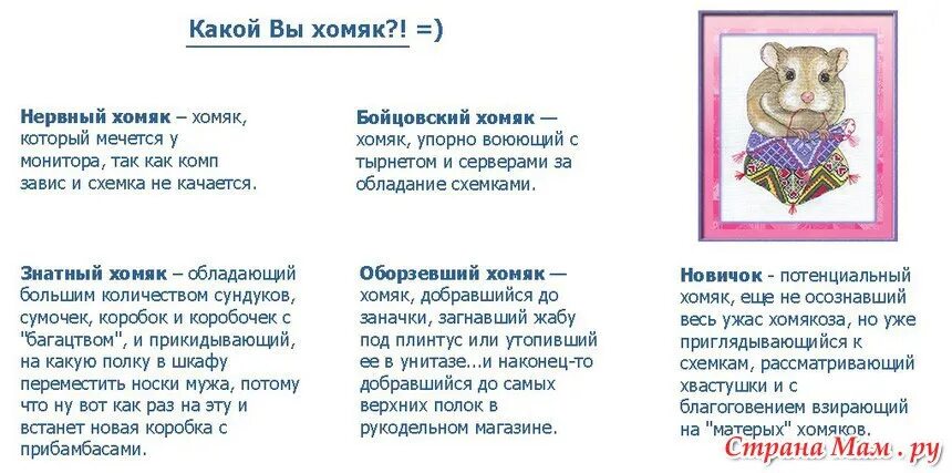 Сколько уровней в картах в хомяке
