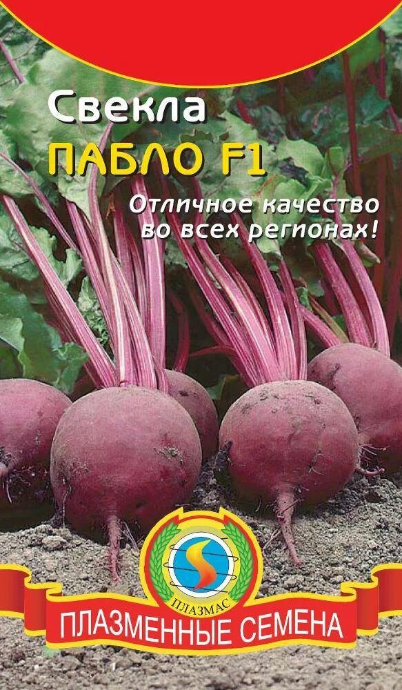 Свекла сорт пабло. Семена свекла пабло. Семена свеклы пабло. Гавриш свекла пабло f1. Свекла пабло f1 1 г (70 шт).
