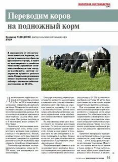 Перевод песни польская корова