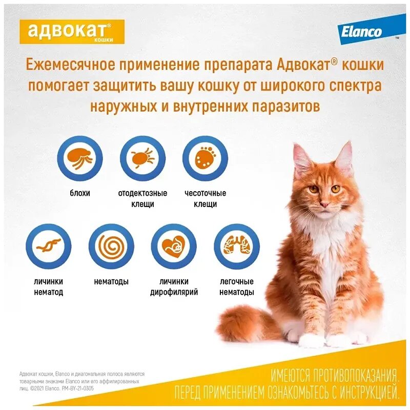 Адвокат капли для кошек. Адвокат (Elanco) капли от чесоточных клещей, блох и гельминтов. Адвокат (Bayer) капли от чесоточных клещей, блох и гельминтов для кошек до 4 кг (3 пипетки). Адвокат до 4 для кошек. Адвокат для кошек отзывы