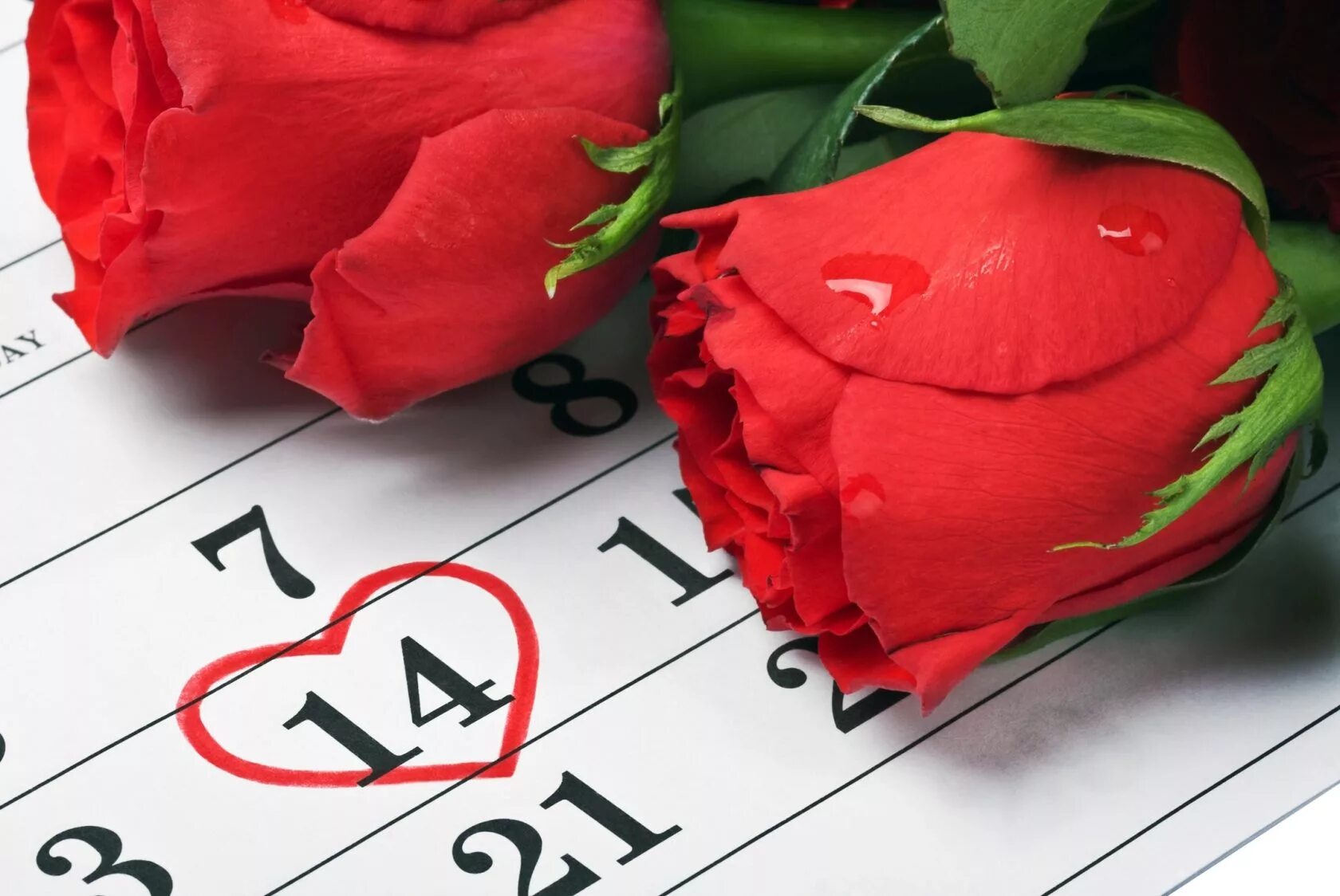 Сколько дней прошло с 14 февраля 2024. С днем влюбленных. С днём всех влюблённых.