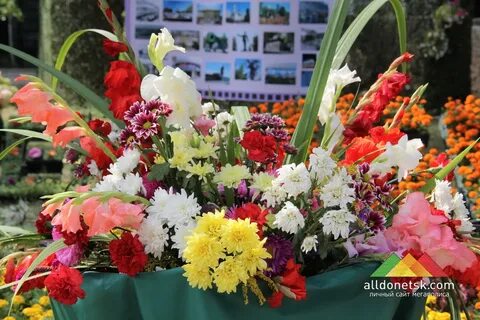 Фото выставки цветов
