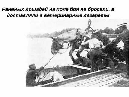 Первый выстрел был в коня текст
