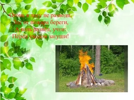 Берегите лес он очищает воздух