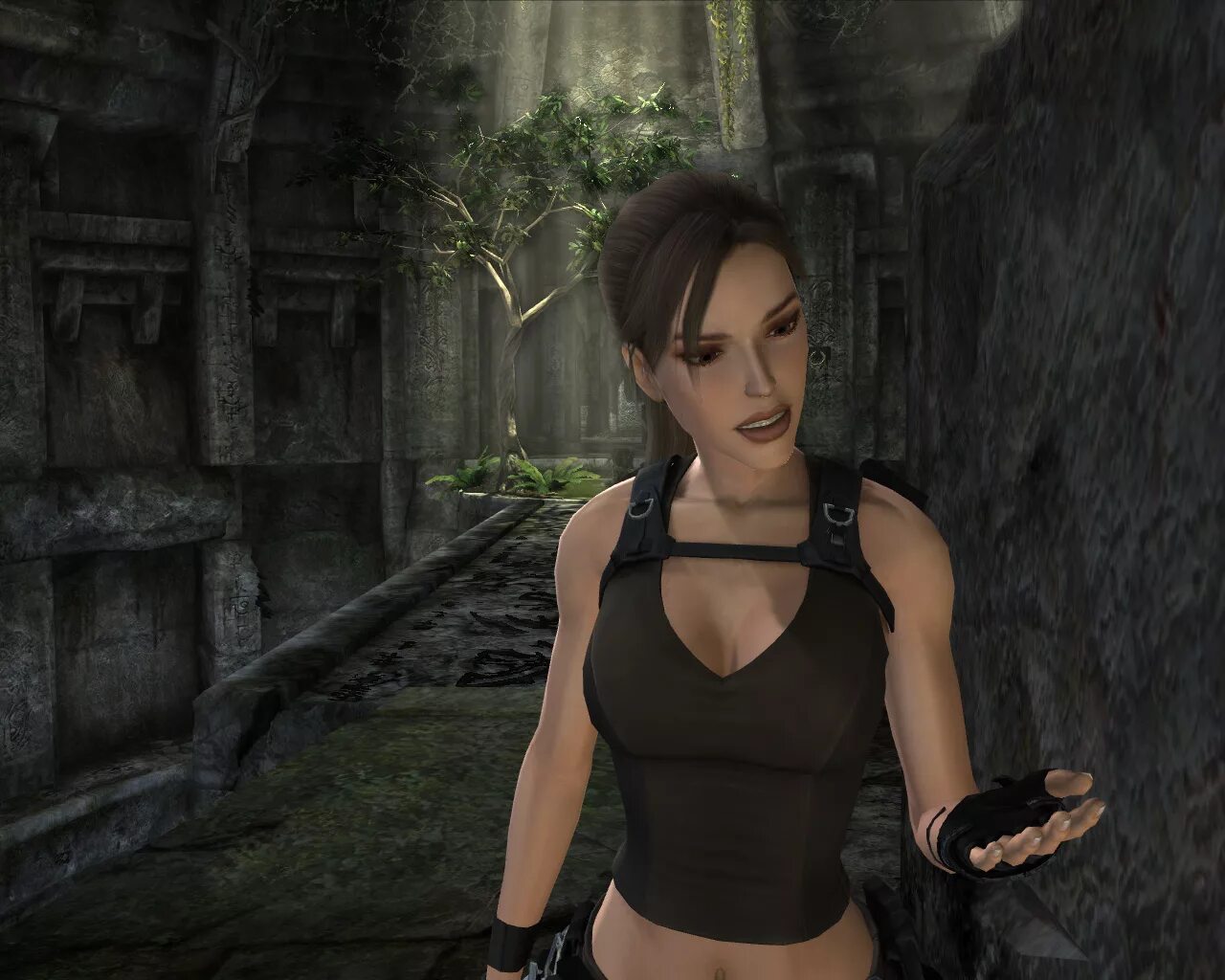 Lara 1
