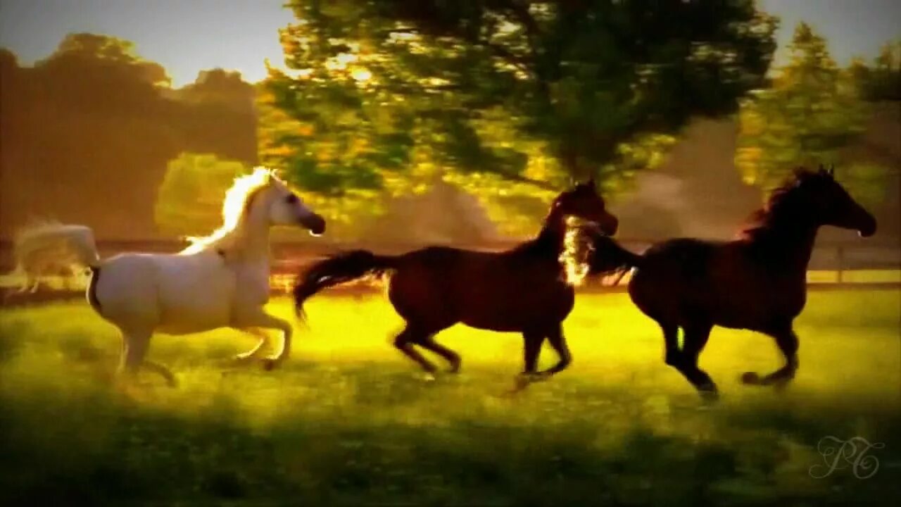 Конь игорь. Слуцкий кони. Игорь слуцкий туда. Слуцкий кони слушать. Тысяча лошадей подков четыре.