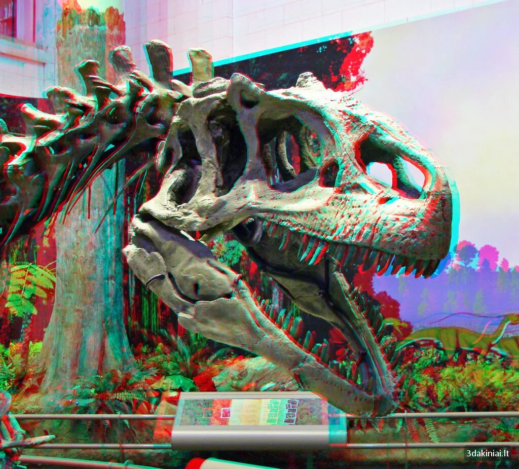 7д аттракцион. киноаттракцион 5d владимир. кинотеатр три д. 3d vii. 3d кинотеатр.