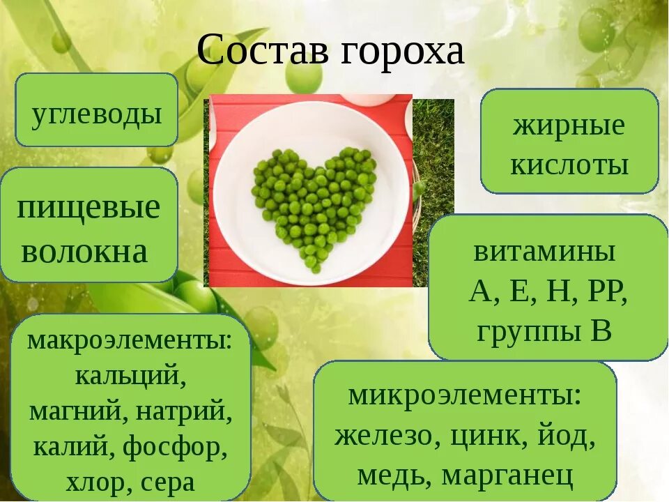 Горох польза и вред для организма. В горохе содержится витамин. какие витамины содержатся в горохе. горох витамины. чем полезен горох.