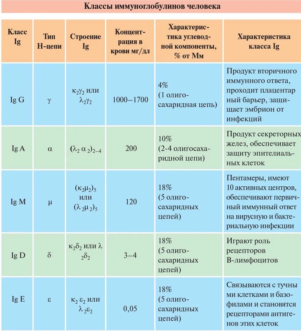 Классификация иммуноглобулинов. Классы иммуноглобулинов микробиология таблица. Характеристика классов иммуноглобулинов. Функции классов иммуноглобулинов. Назовите основные классы иммуноглобулинов..