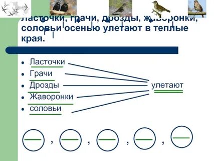 Улетели грачи и дрозды