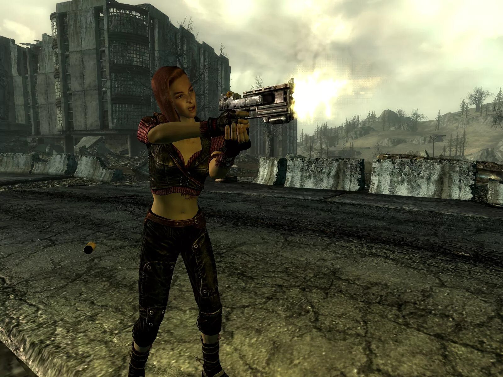 Фоллаут 3 мод компаньоны. Fallout 3 лютик. фоллаут 3. компаньон тернер мод фоллаут 3. fallout 3 нпс.
