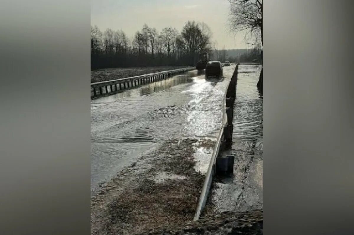 Уровень воды в реке воронеж. Половодье. Паводок Воронеж. Половодье Воронежская область. Мост в Рамони через реку Воронеж.