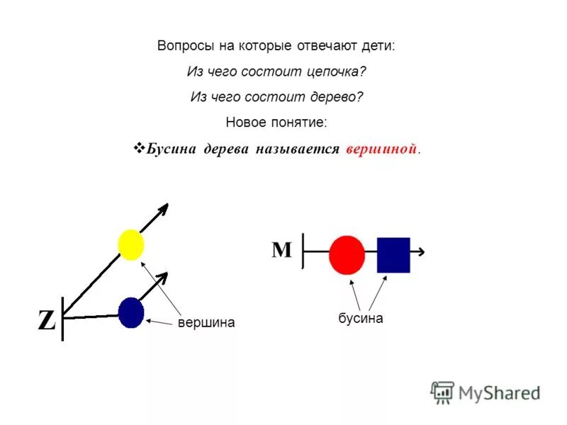 Цепочка состоит из четырех