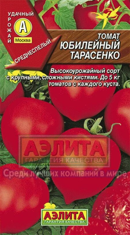 Юбилейный тарасенко описание сорта. Сорт юбилейный тарасенко. томат юбилейный тарасенко.