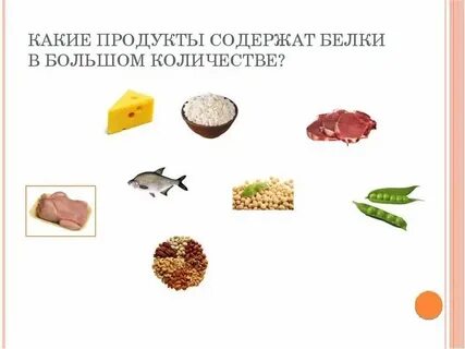 Белок это какие продукты питания
